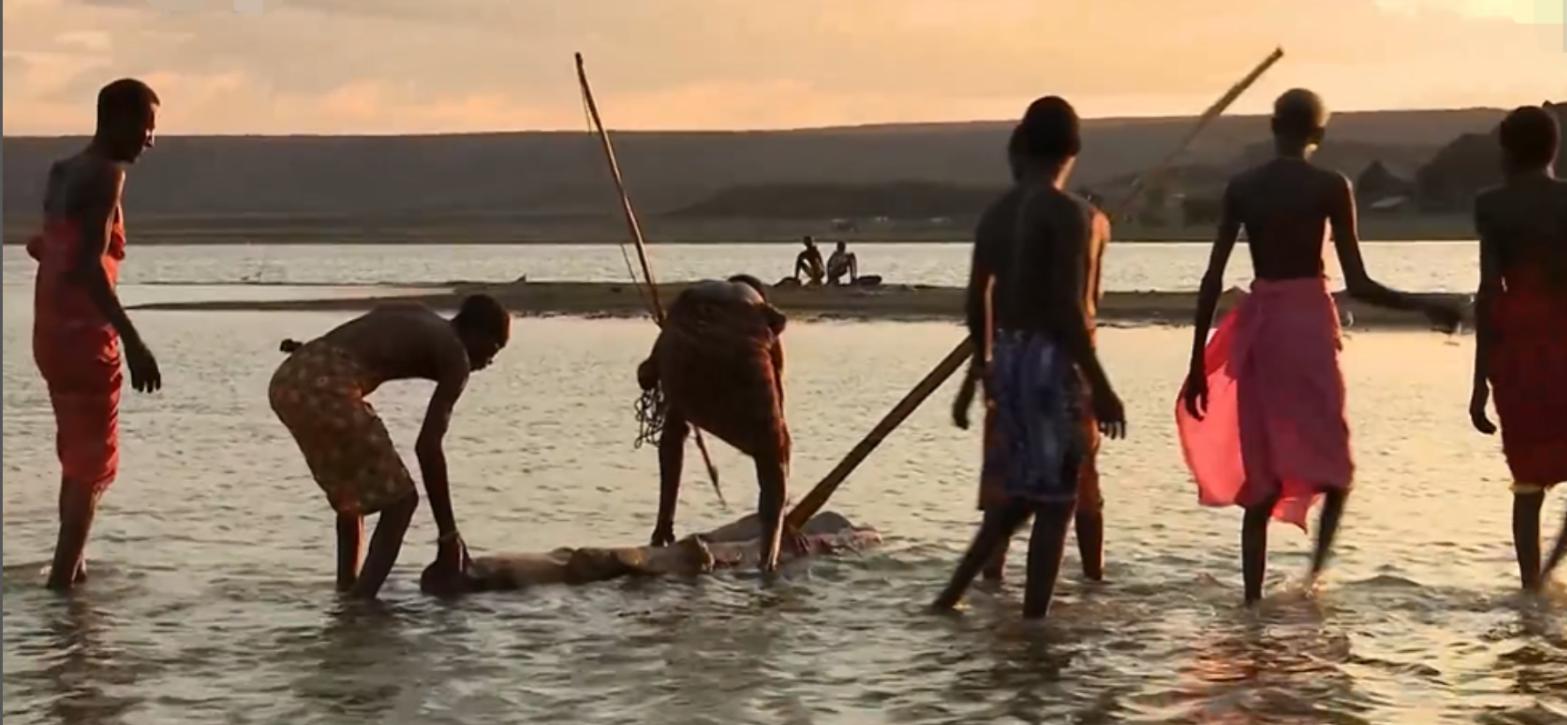 非洲埃尔莫洛部落：每天顿顿都吃鱼，没鱼时就捕杀鳄鱼充饥