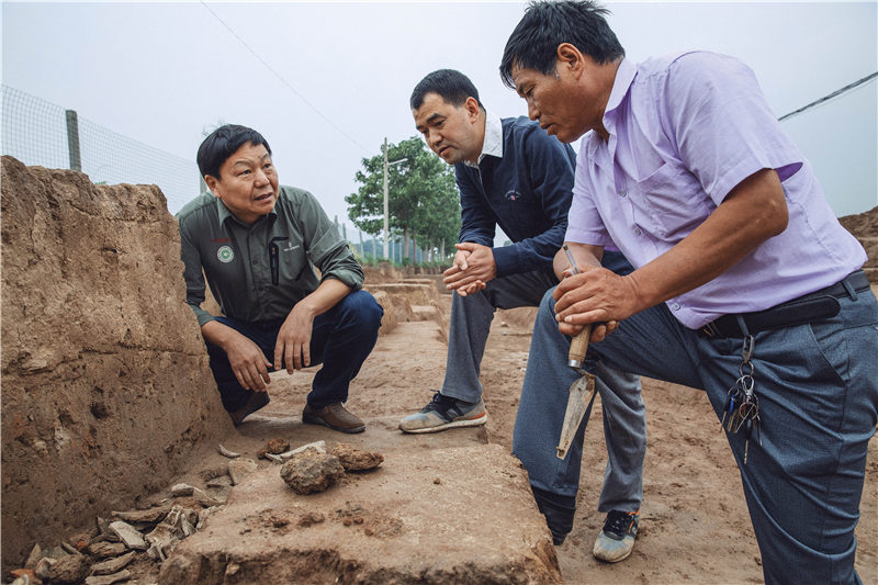 夏朝和二里头是什么,二里头和夏朝的关系