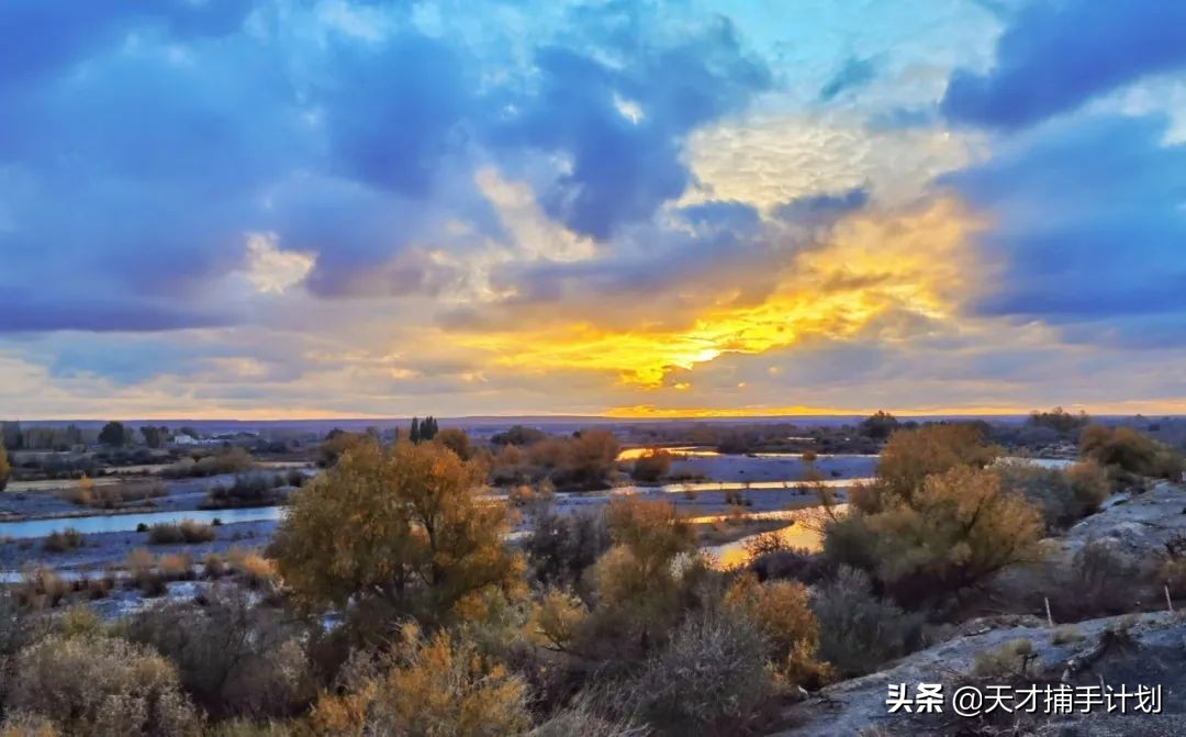 这个工作很带劲儿：94年女孩，三年救了60只猛兽的命