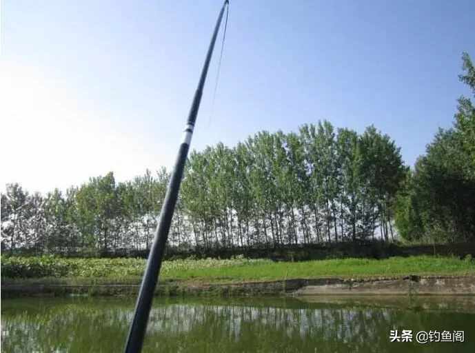 鱼竿新手入门教程,初学者如何选一支好的鱼竿