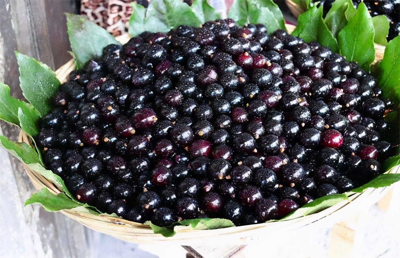 这四种水果又便宜又营养,这4种水果都是人工造出来的