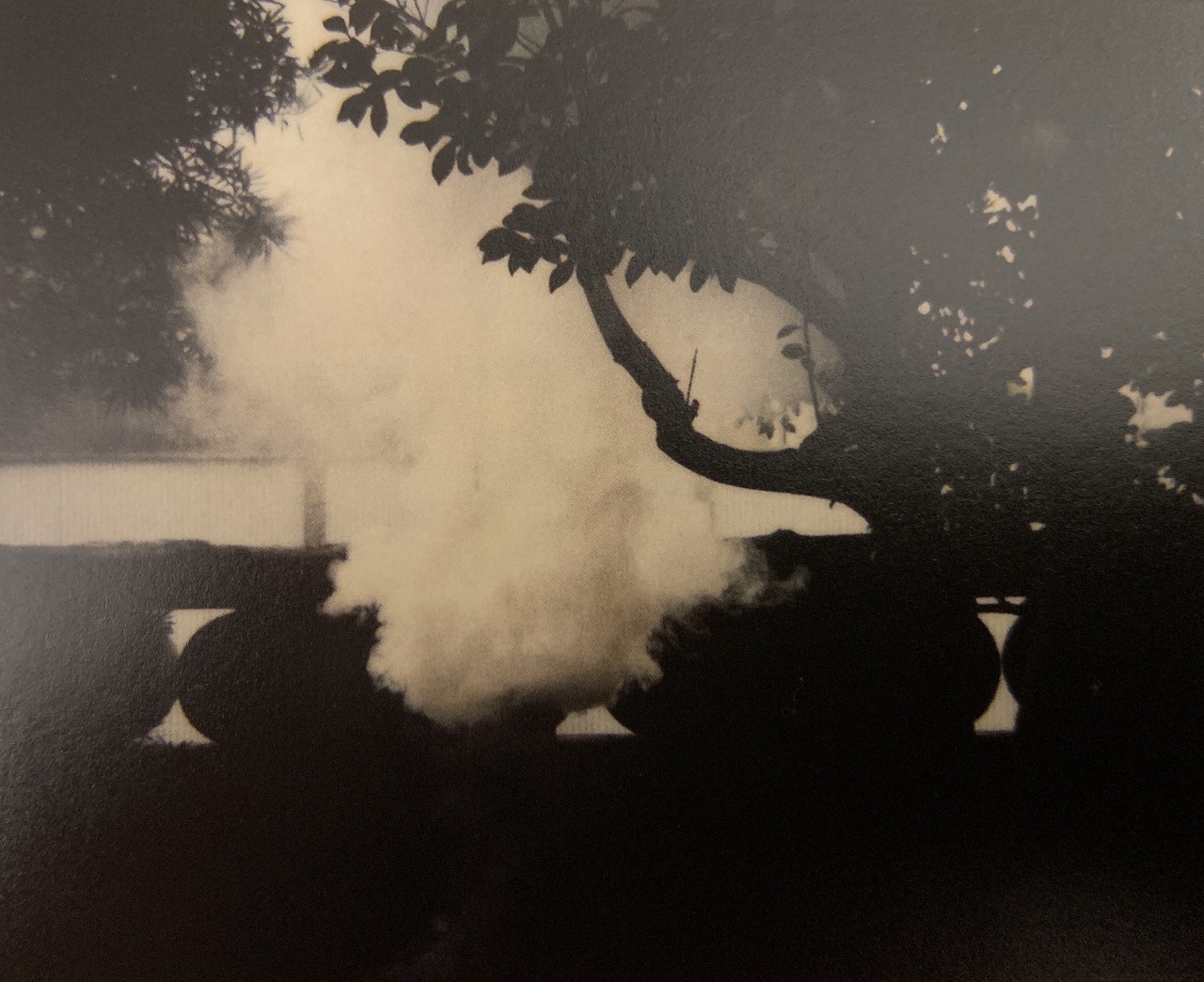 九条“不见得”，手机也能拍大片