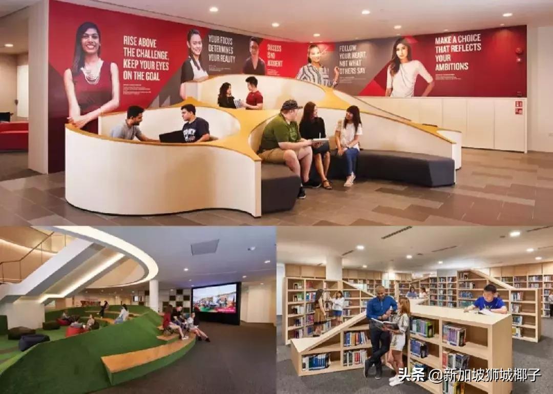 高薪！一部中国热播偶像剧，让新加坡这个专业彻底火了