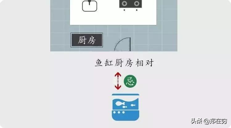 鱼缸摆放位置风水讲究图解大全,鱼缸摆放风水几点讲究