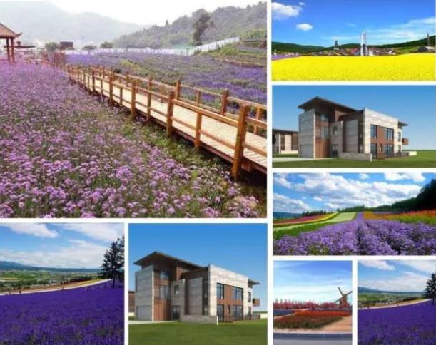 长春市各个区今天新增情况,长春有最新新闻吗