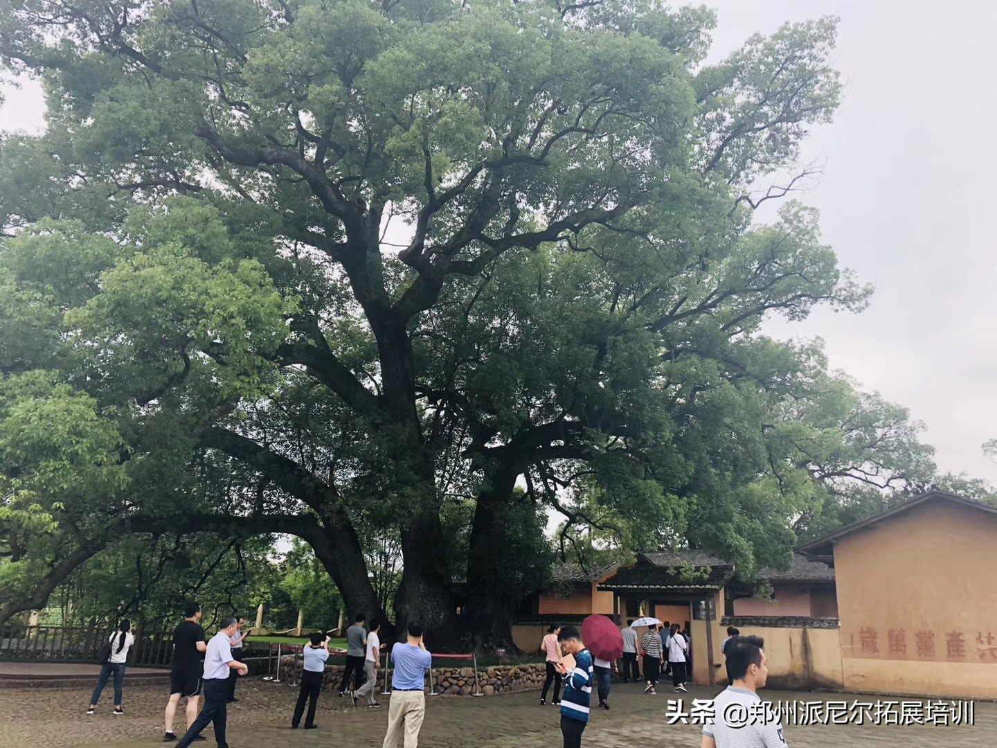 河南林州红色教育培训基地,鹤壁市红色教育培训基地
