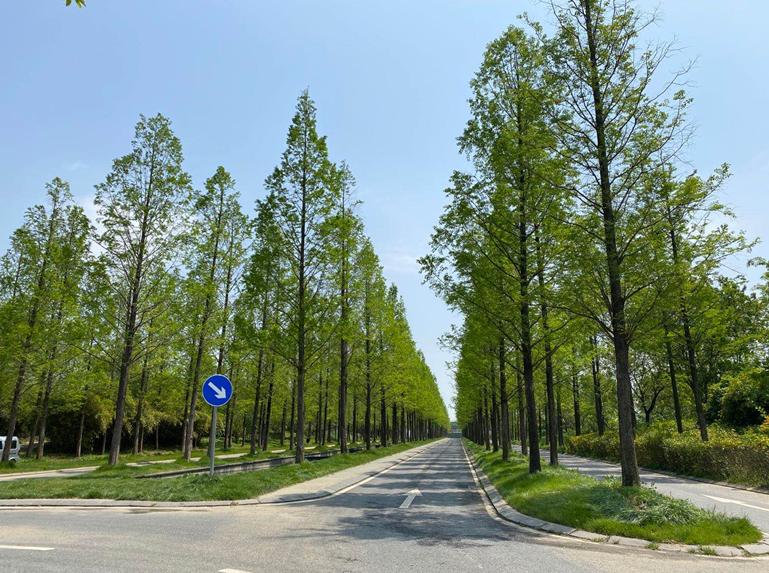 华谊兄弟南京电影小镇最新消息,华谊兄弟电影小镇南京还开业吗