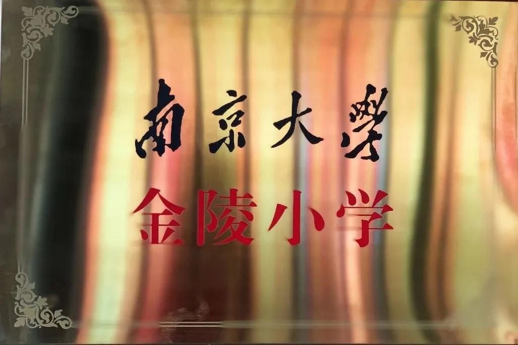 南京金陵小学仙林学费,南京市金陵小学仙林湖校区学费