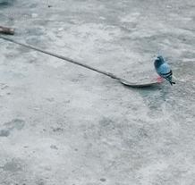 男子被车撞出3米求生欲,求生欲创造奇迹男子被撞