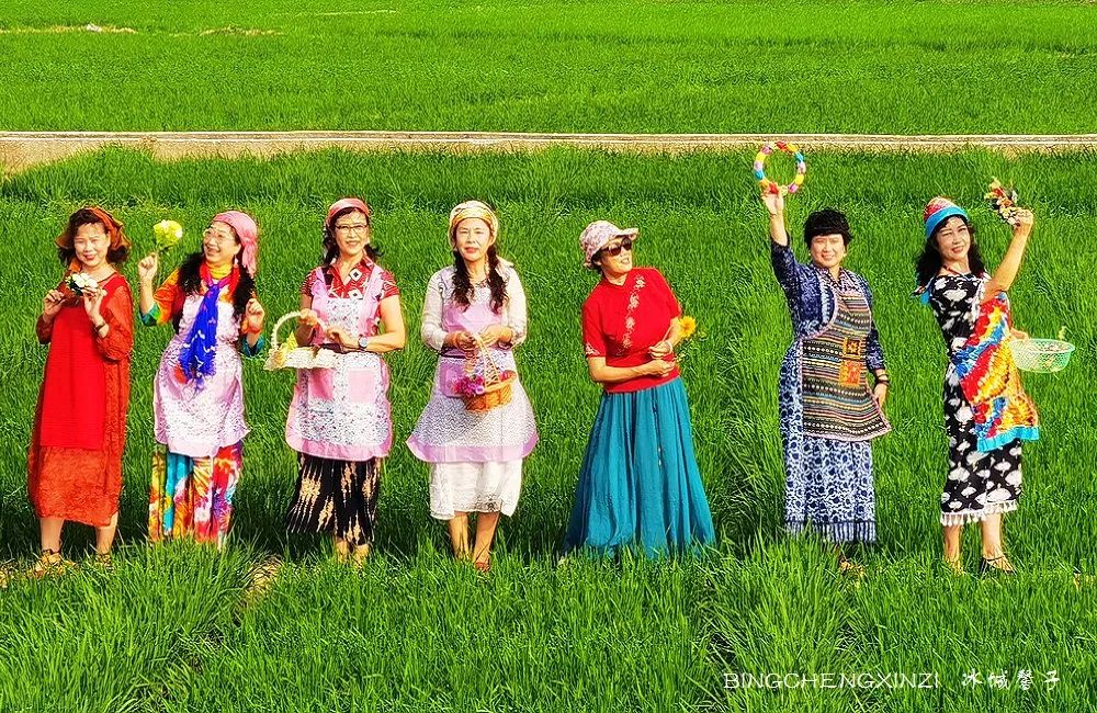 做把“村姑”，走进海南灯火灿烂的火龙果园