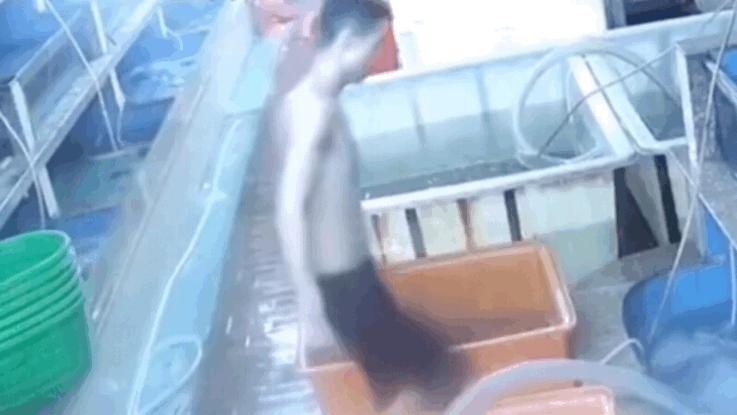 搞笑GIF:女朋友问我是什么，我说是洗衣粉，她怎么把我拉黑了？