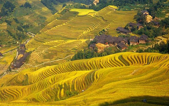 桂林旅游攻略必去景点龙脊梯田,桂林去龙脊梯田交通攻略
