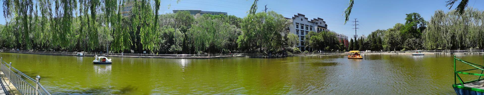 轻巧便携手机云台智云smoothx测评,智云smoothx手持手机云台