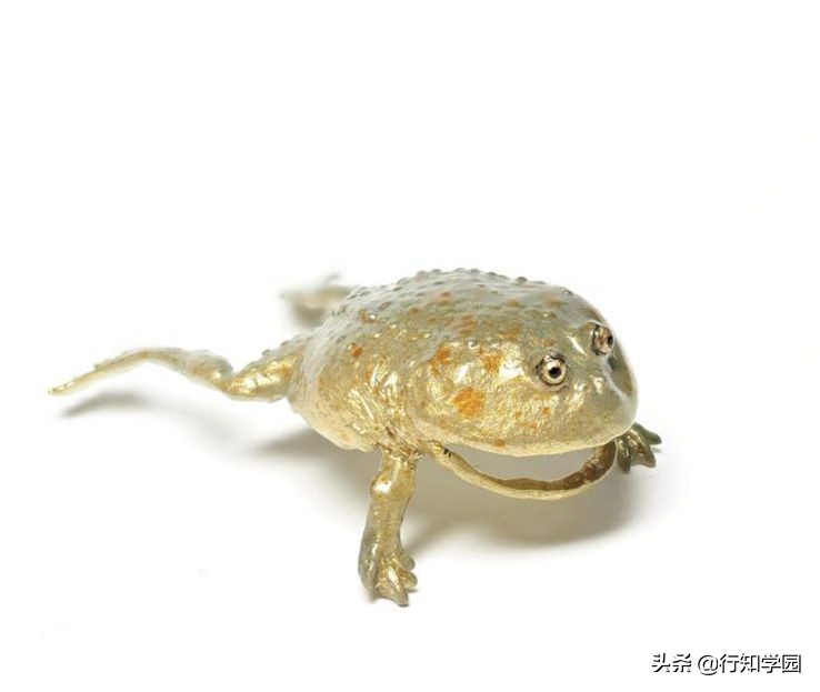 青蛙耳夹,卡通青蛙公仔耳夹