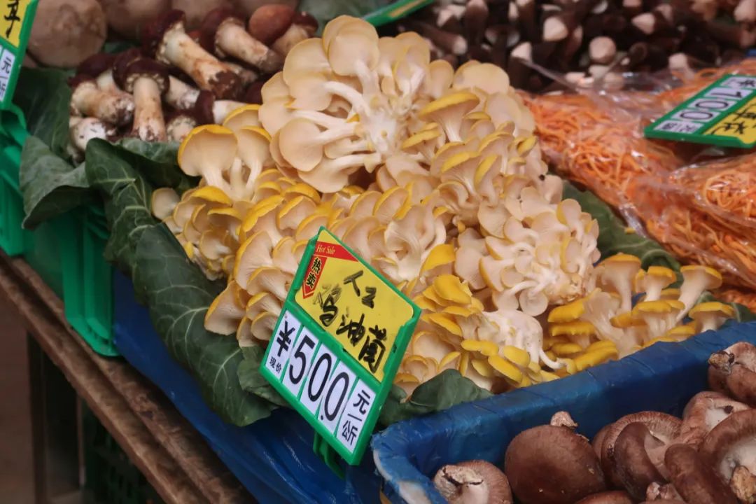 鏄嗘槑瑗垮北鍖鸿彍甯傚満,鏄嗘槑瑗垮北鍖烘槬澶忕鍐彍甯傚満