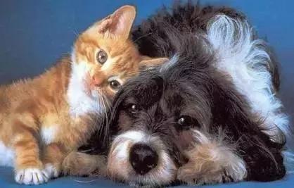 朋友的不同层次的表达,朋友的另外表达方式