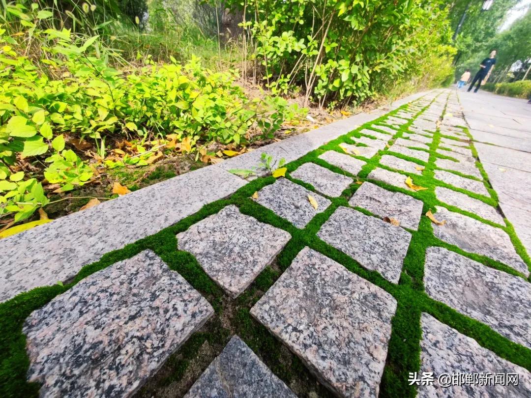 十一不知道该去哪玩莫慌,十一假期不知道去哪里玩文案