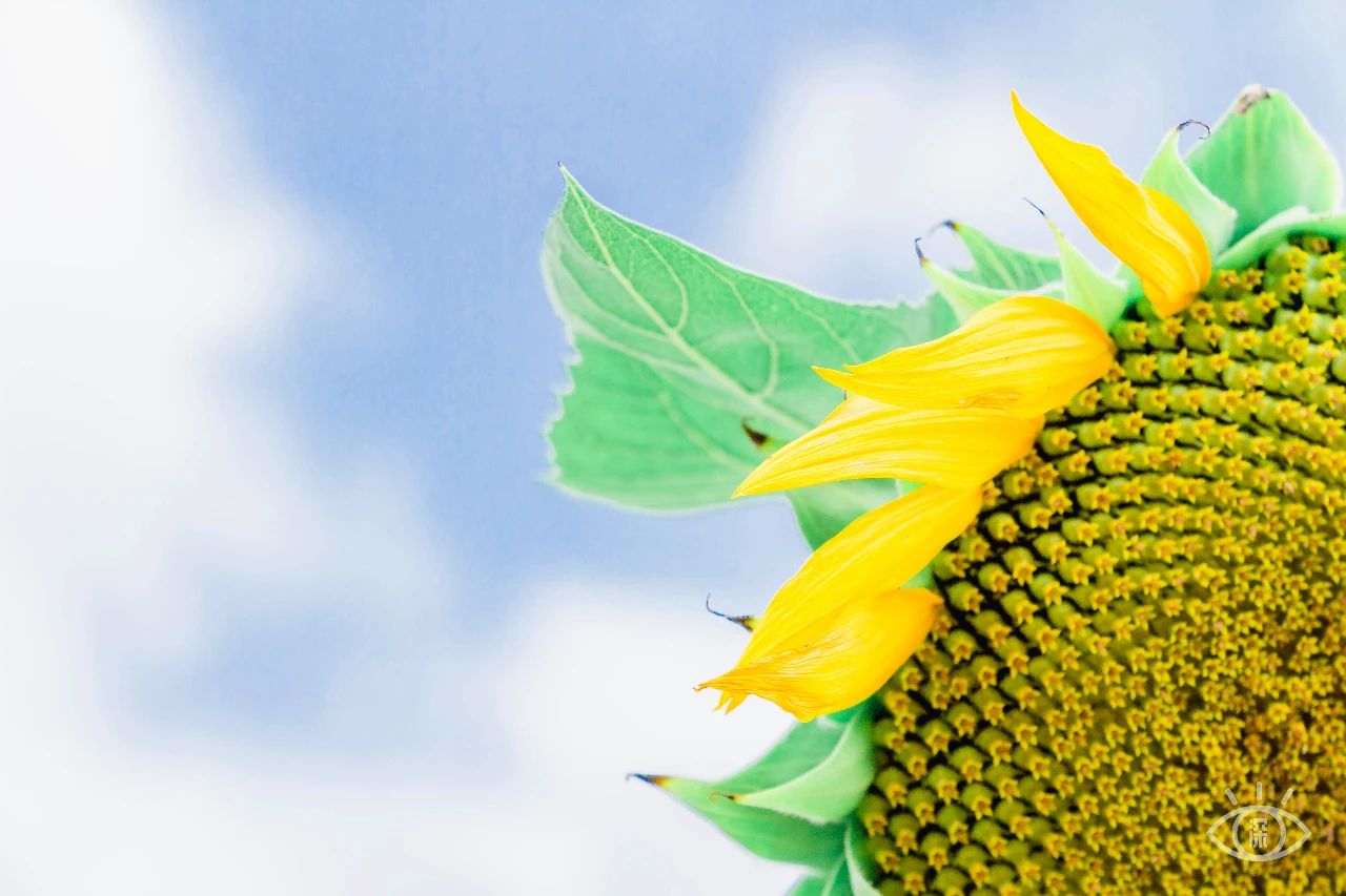 深圳各区最美的地方,深圳6个绝美地方