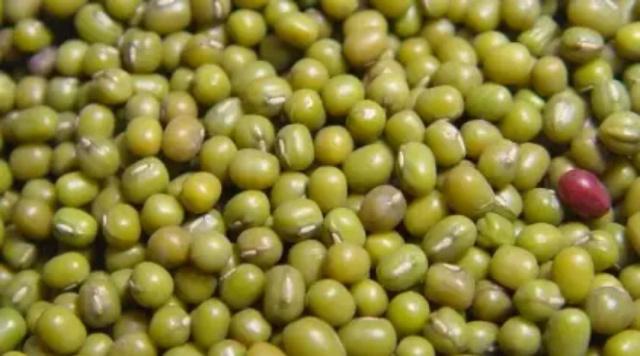 萝卜梨水红枣枸杞怎么煮治咳嗽,冰糖菊花枸杞可以去肝火吗