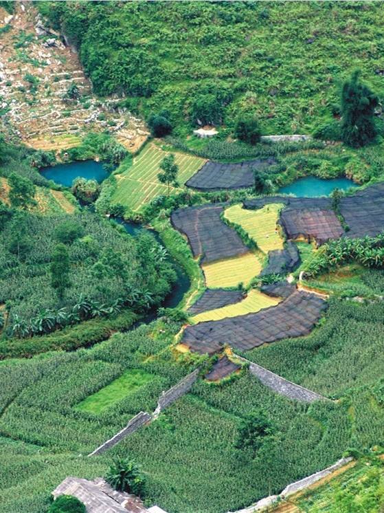 喝了井水生双胞胎,喝了能怀双胞胎的神奇泉水