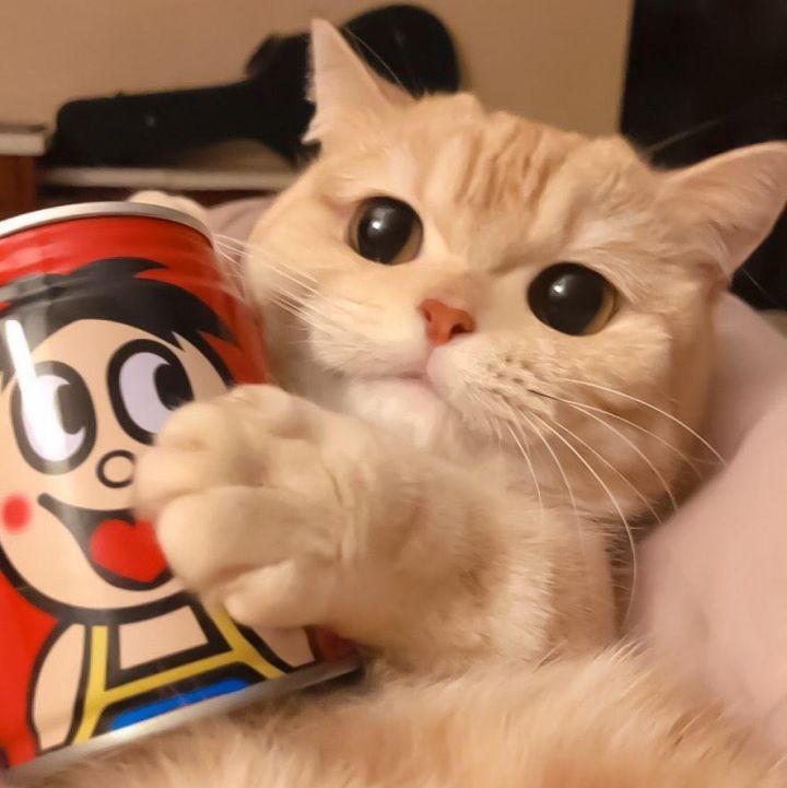 有趣的锁骨千篇一律,好看有趣的锁骨