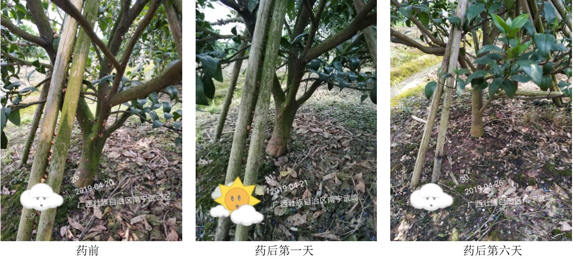 蜗牛药四聚乙醛对土质有伤害吗,四聚乙醛杀蜗牛会影响土质吗