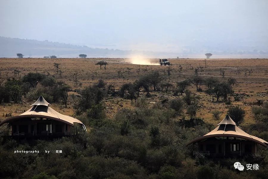 他，百亿富豪，常近乎全裸出现在公共视线里，却被英女王封为爵士