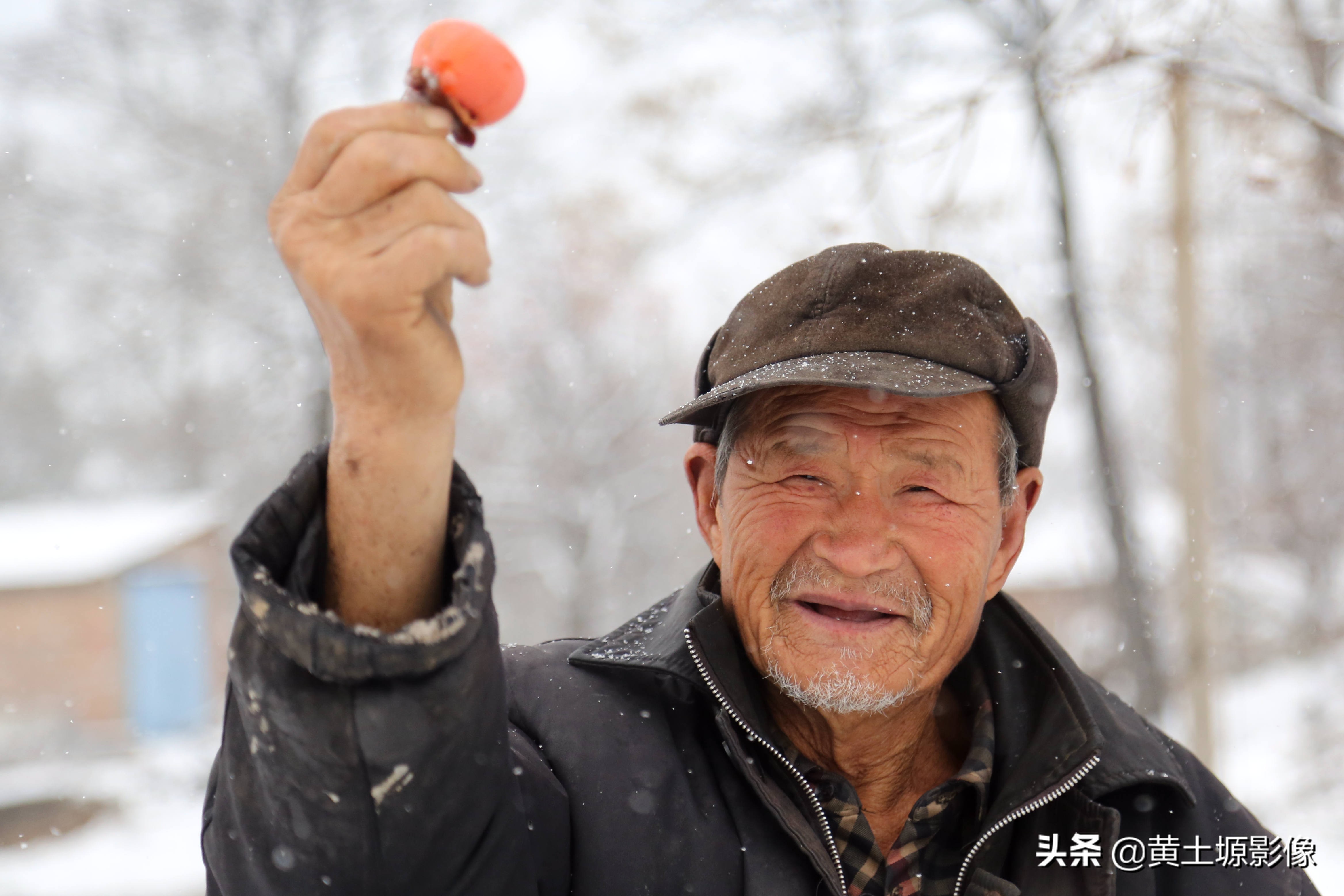 柿子树无人采摘,农村柿子下雪天也无人采摘