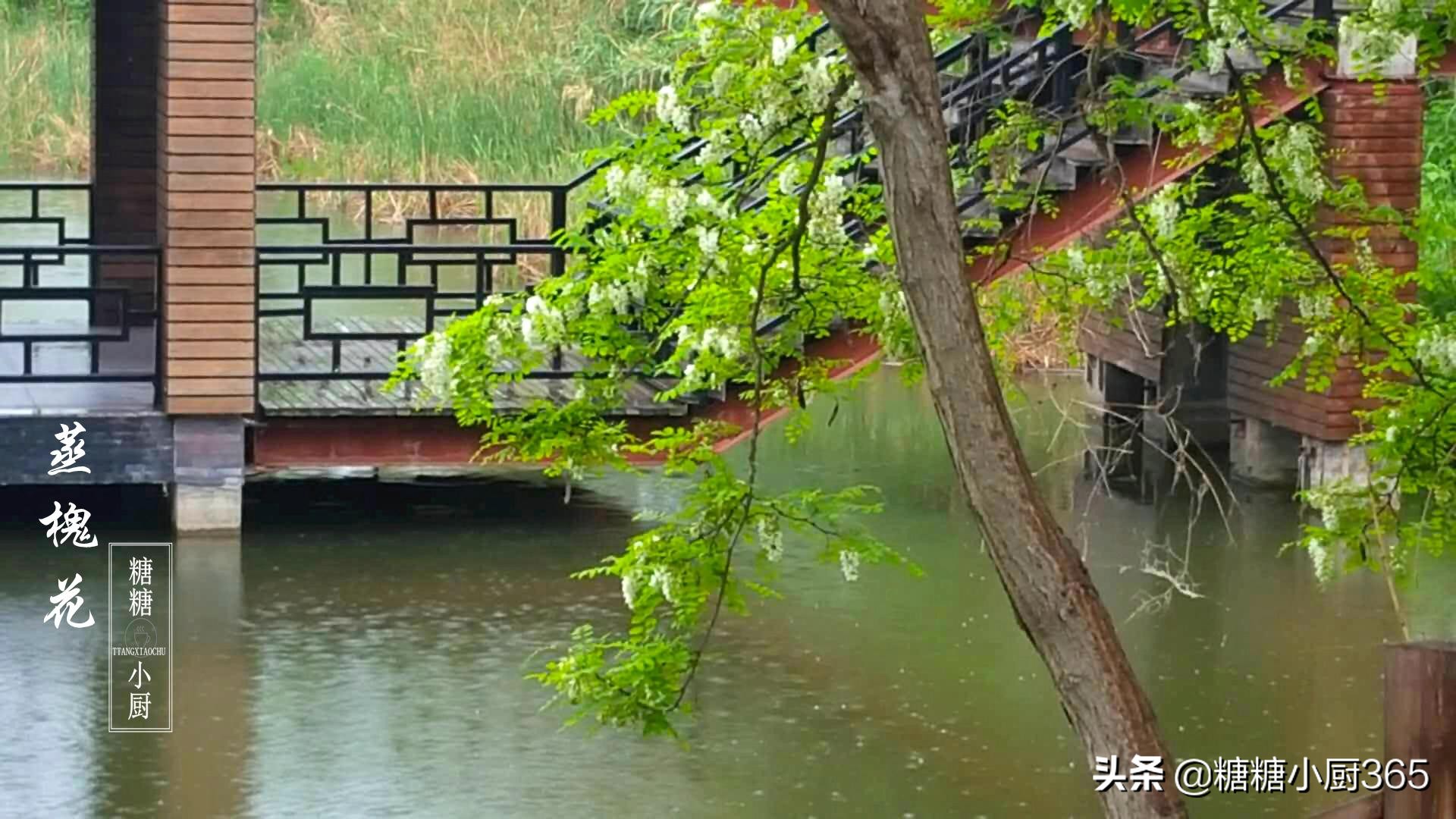 槐树花炒鸡蛋美味,槐树花蒸几分钟好吃