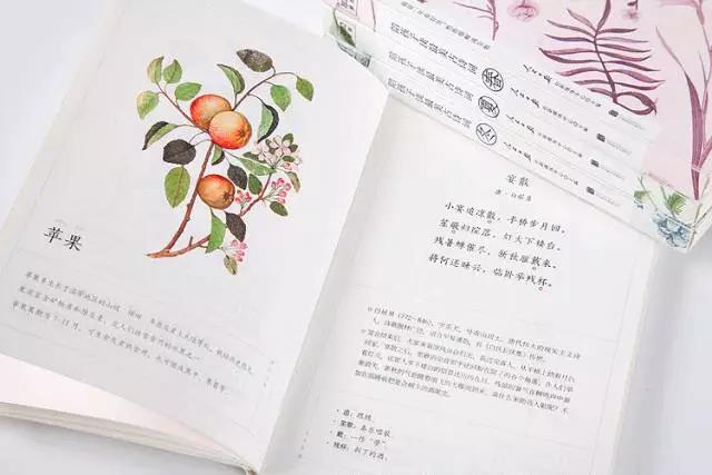 古诗词滋养大的孩子,用古典诗词喂大的孩子