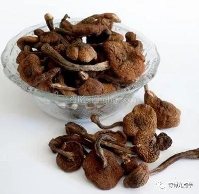 辽宁铁岭市级行政区,辽宁省铁岭城市介绍