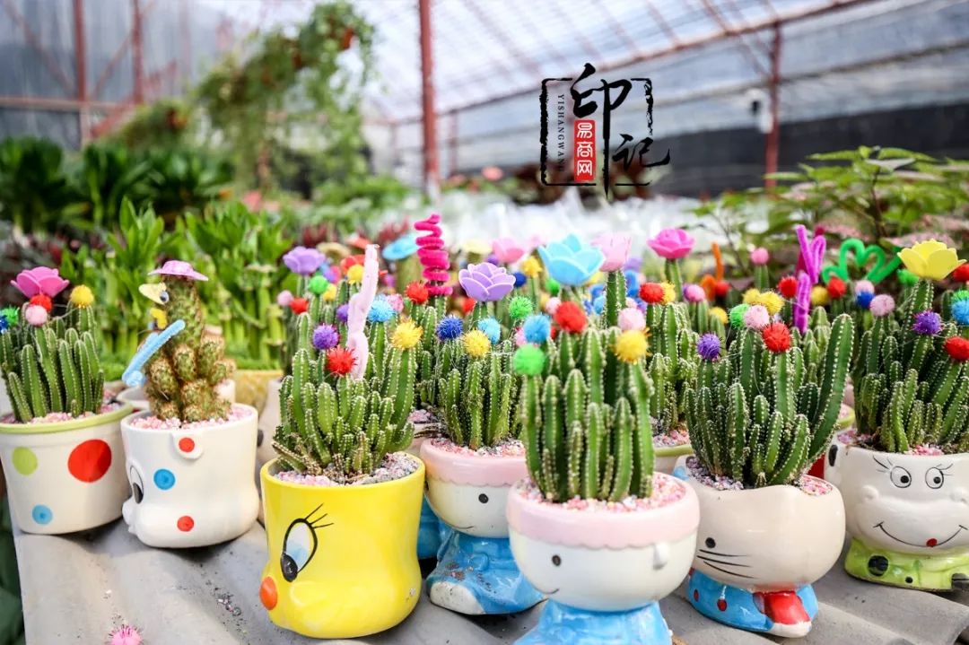 商丘道北花鸟批发市场,商丘花鸟宠物市场