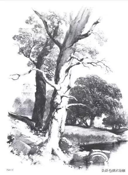 静物素描风景图临摹,简单又好画的彩铅素描风景图