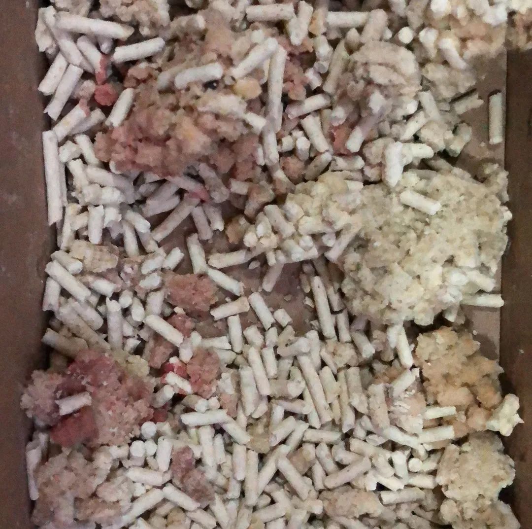 小佩宠物饮水机漏水,小佩饮水机漏电对宠物有害吗