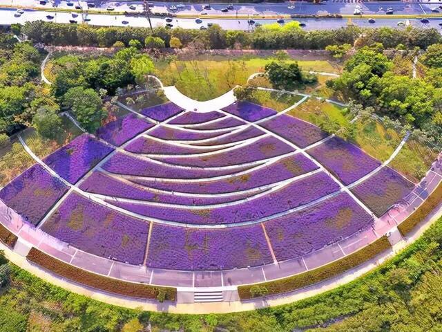 深圳花海公园推荐景点有哪些,深圳花海公园地址在哪里