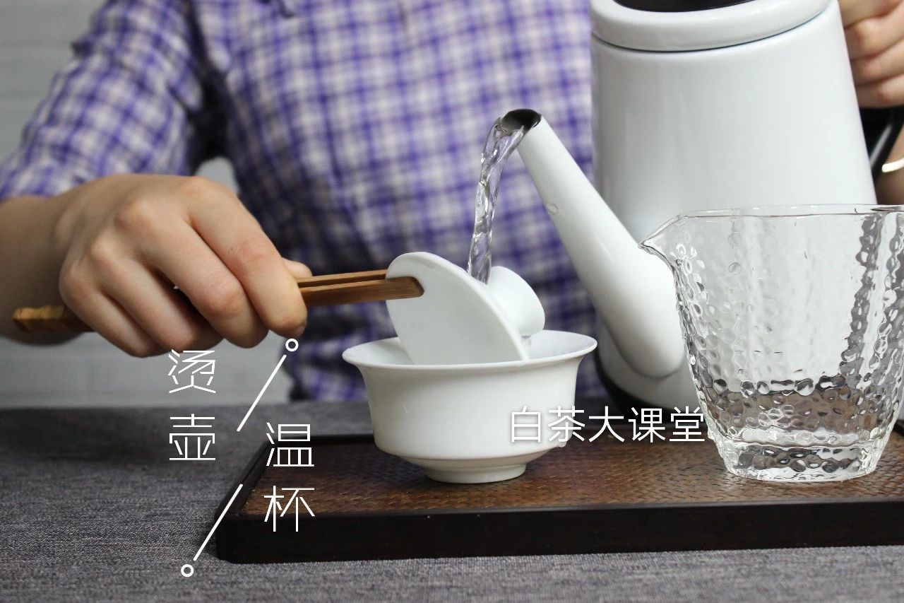 白茶要如何泡茶好喝又简单,泡茶的正确方法和泡白茶步骤视频