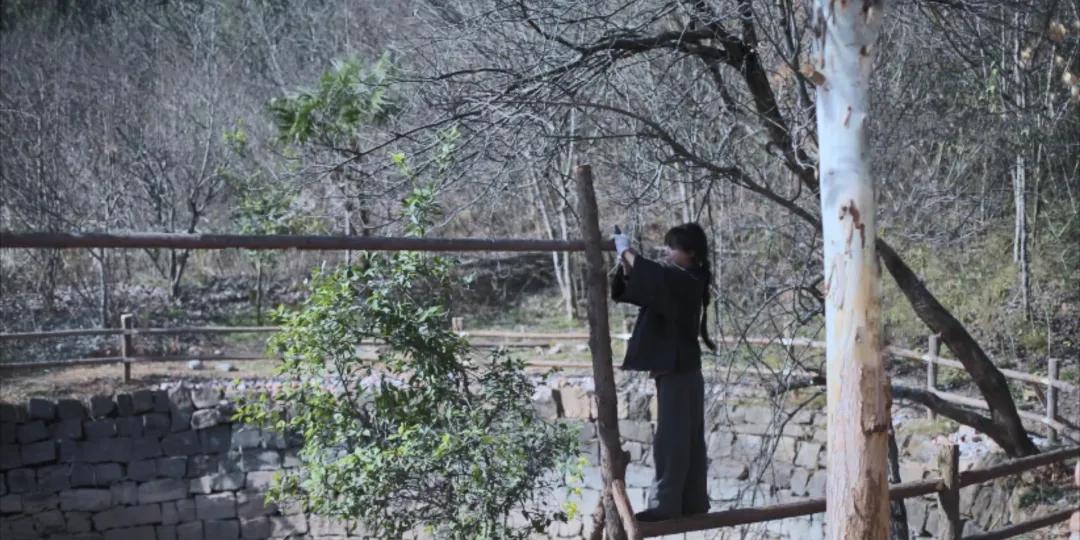 番茄锅酸甜番茄,超浓郁的番茄火锅吃一次就爱上了