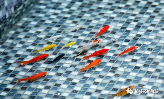 榆林艺术打卡,艺术街区网红打卡