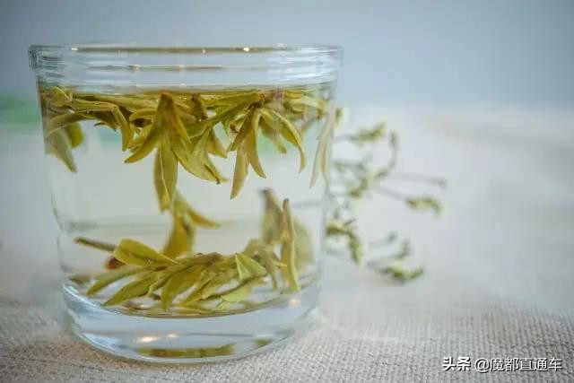 2019，在最好的时间，挑最好的地点，吃最好的食物！