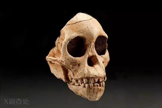 世界凶杀案未解之谜,世界未解之谜秦始皇