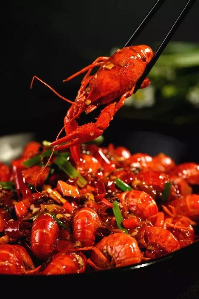 鸭肉和鸡肉哪个烤着好吃,鸭子怎么烤才能脆皮有光泽漂亮