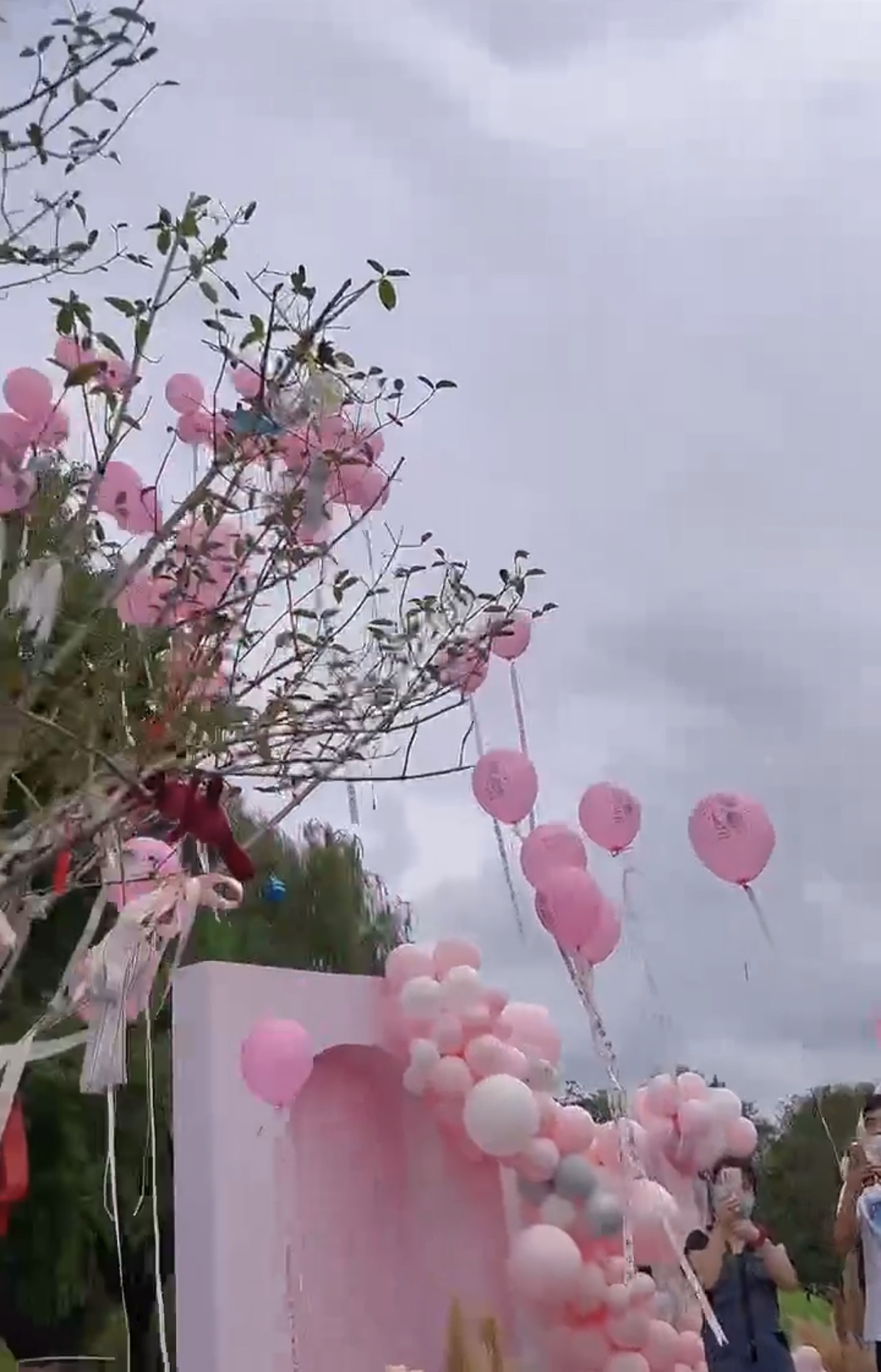 乔任梁生日父母放飞气球,乔任梁出道前过生日