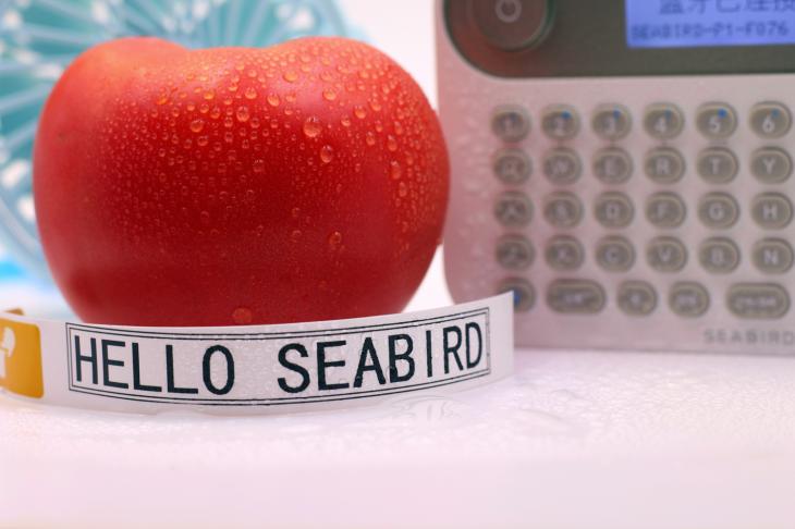 成功没有捷径但高效生活有方法海鸟贴纸打印机工作学习更有条理