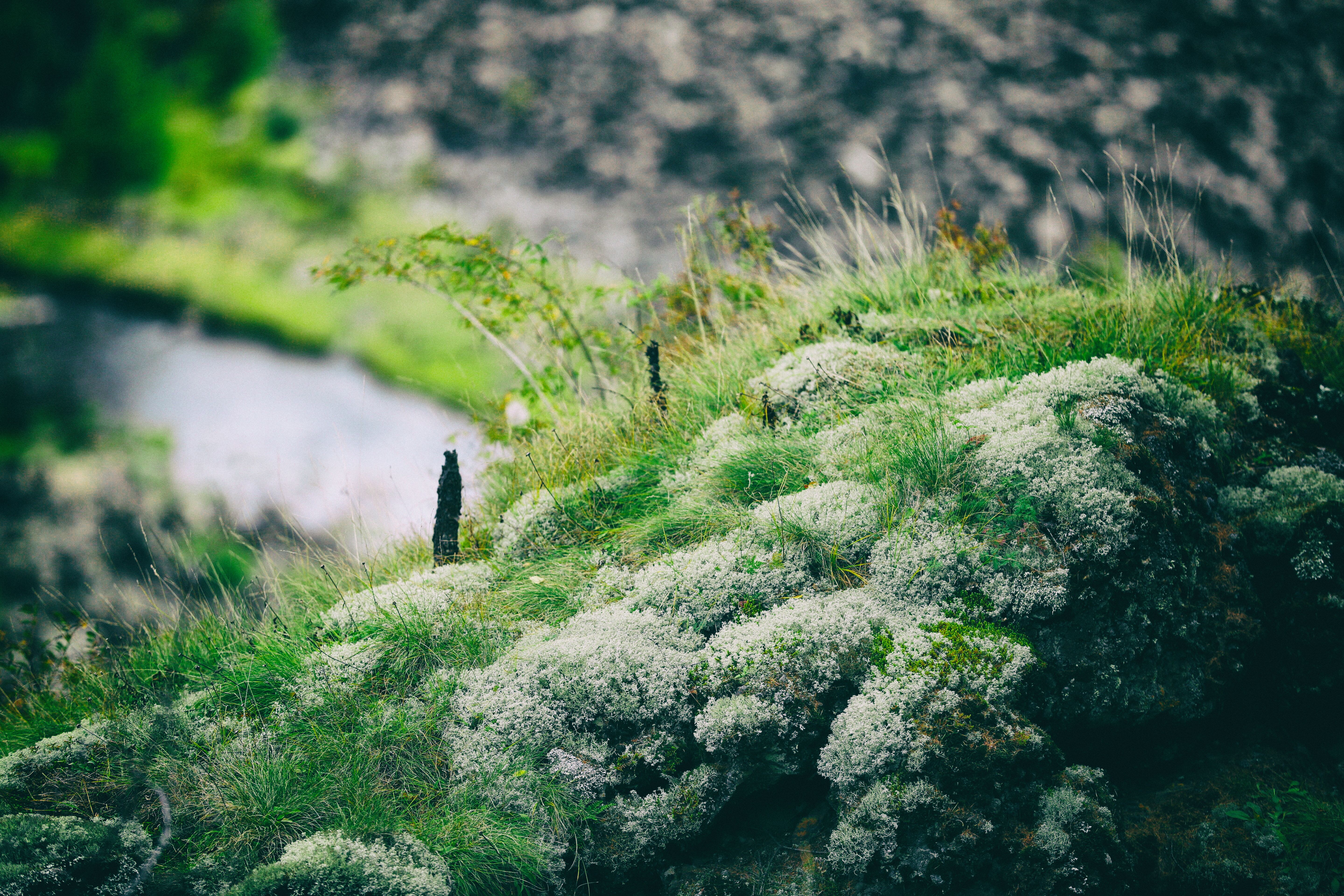 南方人自驾来东北是啥体验,15天一万公里的新疆感受