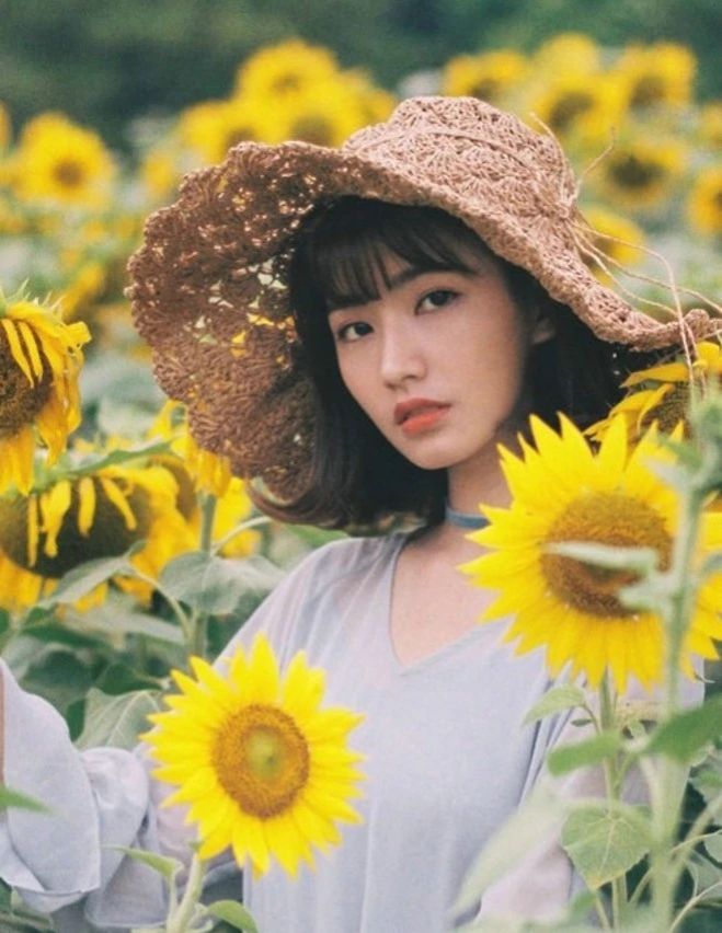 鏈夌埍鐨勫悜鏃ヨ懙,鏆栧績鐨勫悜鏃ヨ懙