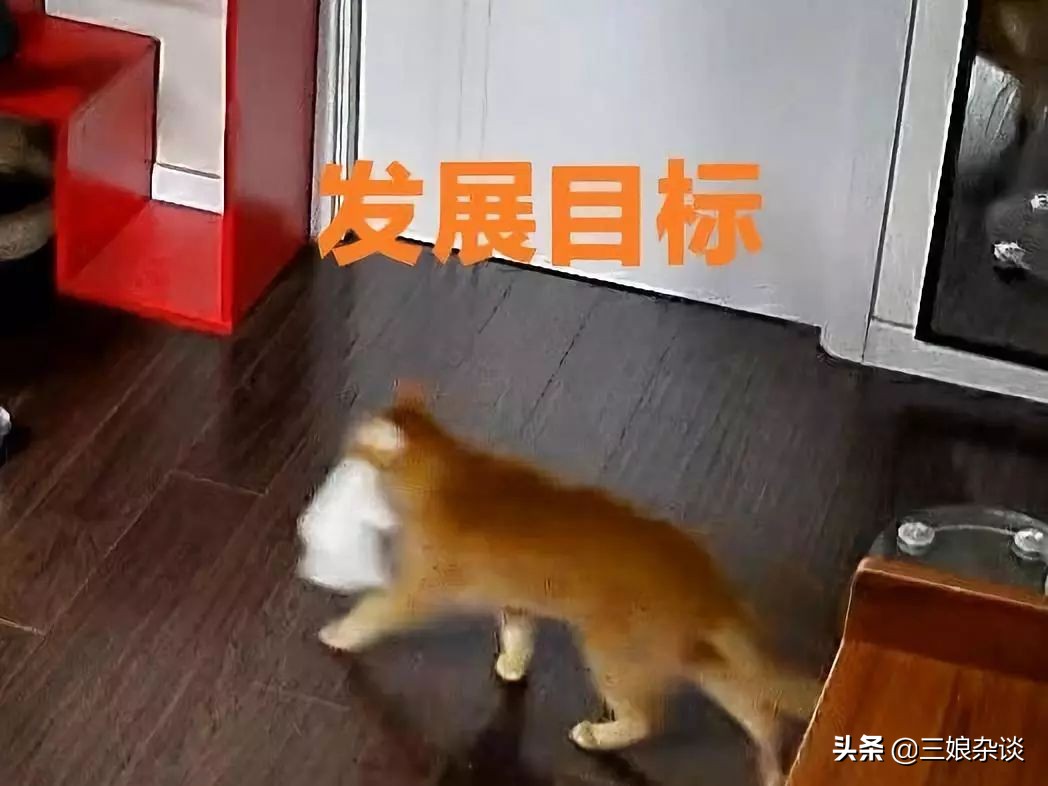 真的服了！北京2154万人口，我打个车都能拼到前男友……