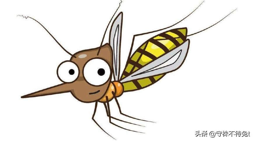 100个冷知识是什么,100万个冷知识