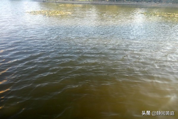 一首唐诗一阵风，不仅送来春花烂漫与黄叶飘飘，还驱散了所有阴霾