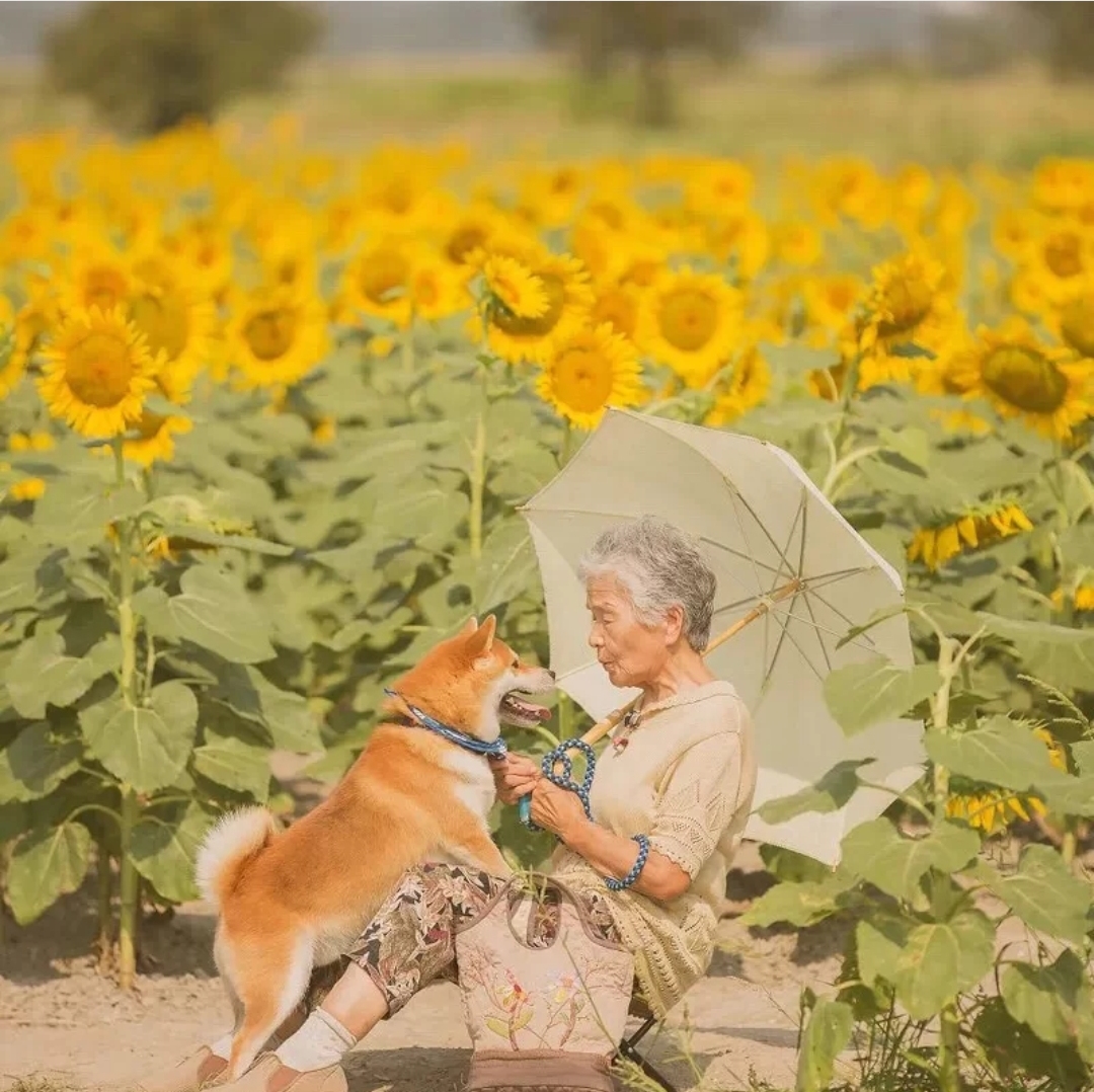 送爸妈礼物鞋子推荐,送爷爷礼物鞋子推荐