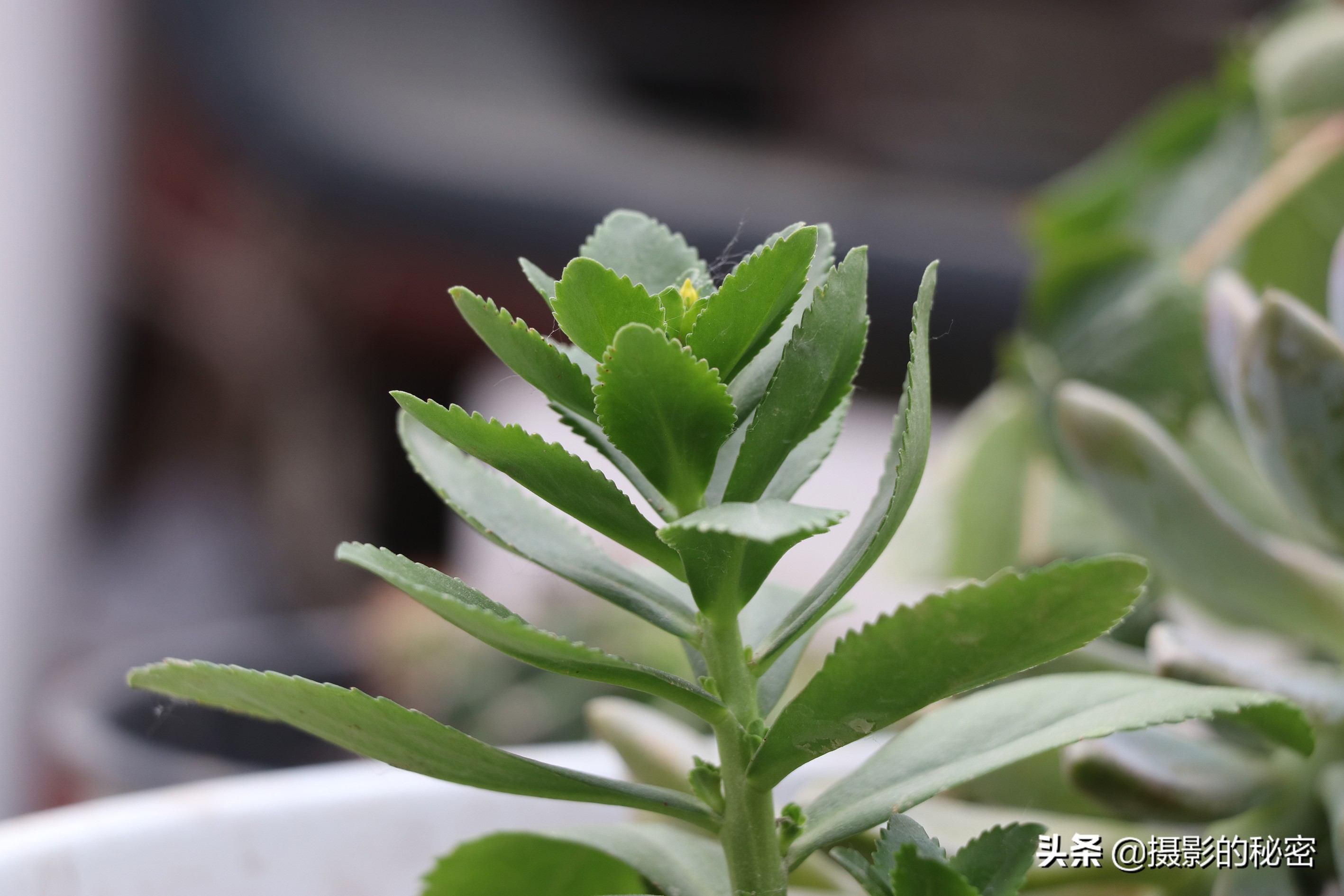 富图宝空气二号和空气三号,富图宝空气二号延时摄影